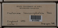 Image Associated With the Occurrence